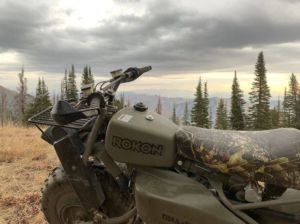 Hunting