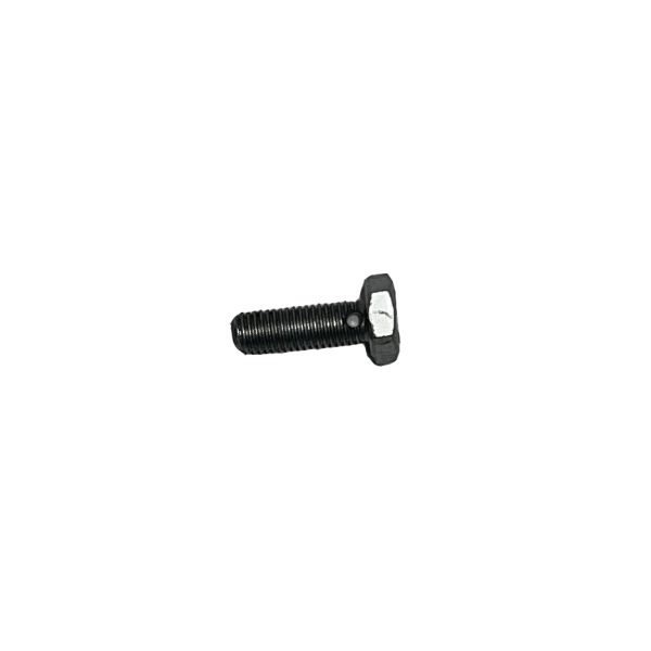 Brake Caliper Bolt with Hole