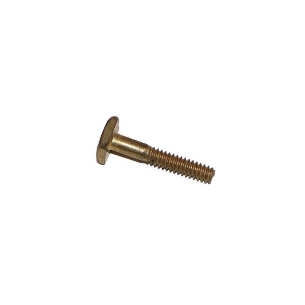 Screw