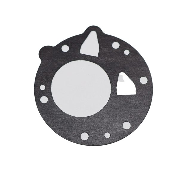 Fuel Pump Diaphragm