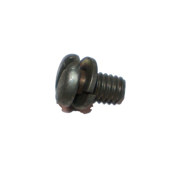 Screw